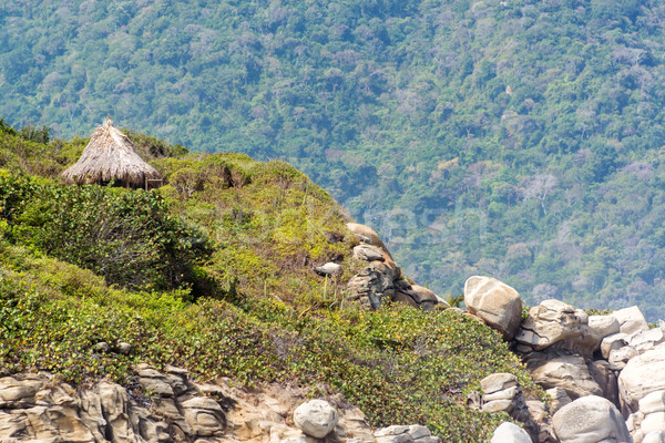 Jungle Hut Stock photo © jkraft5