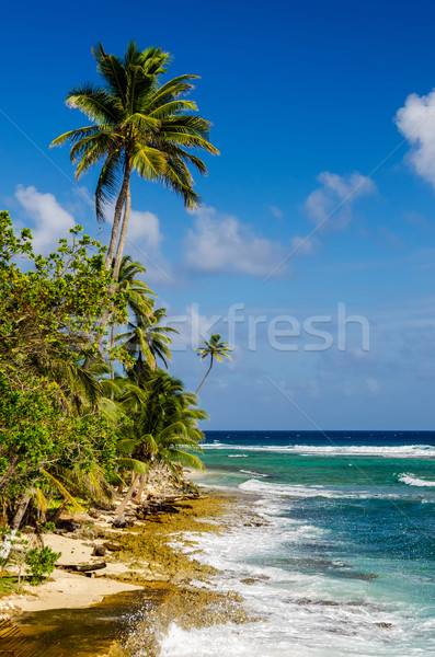 Coastline of San Andres Island in Colombia Stock photo © jkraft5