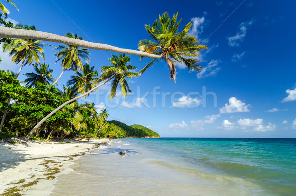 Secluded Beach Stock photo © jkraft5