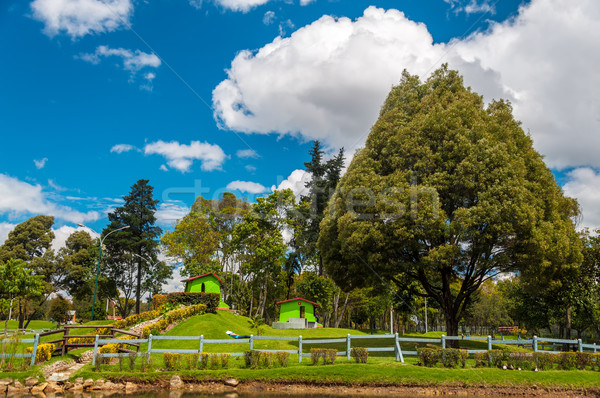 Luxuriante verde parque ver belo cênico Foto stock © jkraft5