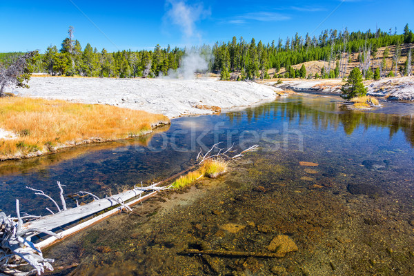 Firehole River in Yellowstone National Park Stock photo © jkraft5