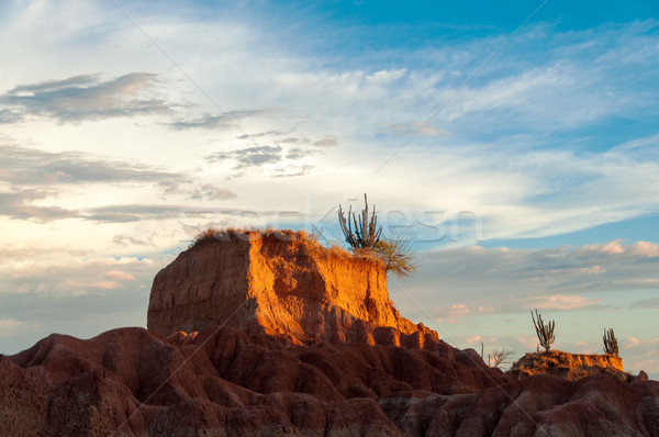 Closeup View of Desert Mesa Stock photo © jkraft5