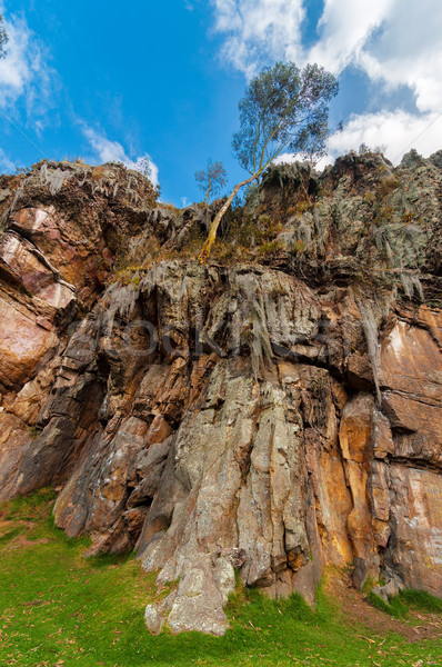 Vue falaise au-dessous escalade Colombie arbre [[stock_photo]] © jkraft5