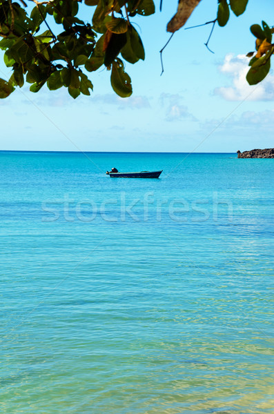 Blue Boat and Sea Vertical Stock photo © jkraft5