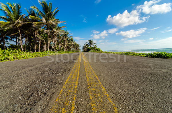 Low View of Coastal Road Stock photo © jkraft5