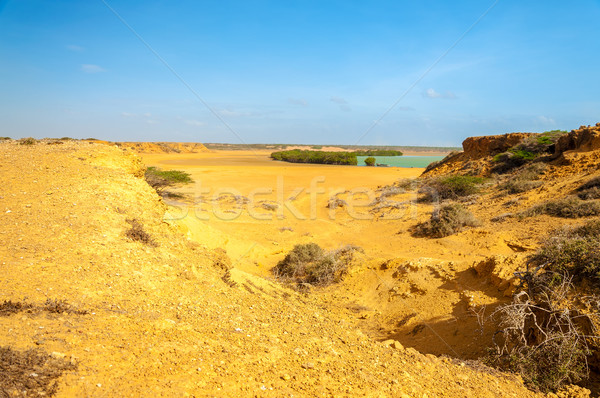 Desert Landscape and Bay Stock photo © jkraft5