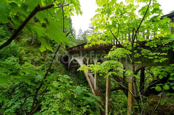 Brücke üppigen Vegetation Autobahn 30 Stock foto © jkraft5