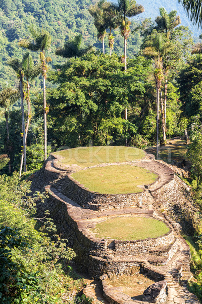 Ciudad Perdida in Colombia Stock photo © jkraft5