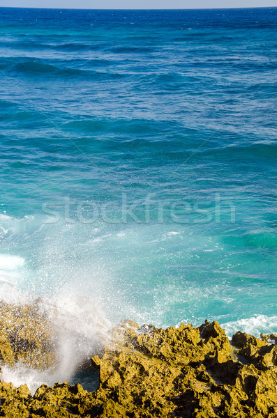 Caribbean Waves coming to Shore Stock photo © jkraft5