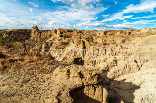 Dry Desert View Stock photo © jkraft5