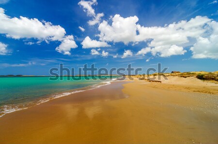 Wide Deserted Beach Stock photo © jkraft5