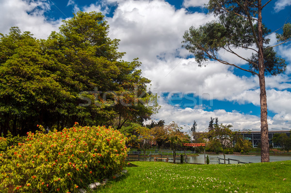 Verde parque lago ver luxuriante paisagem Foto stock © jkraft5