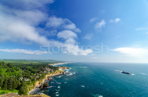 Oregon kust blauwe hemel weelderig groene hemel Stockfoto © jkraft5