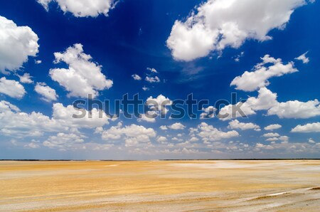Desert Flatlands Stock photo © jkraft5