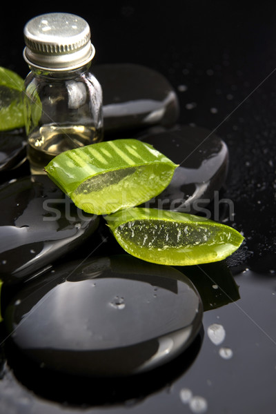 Aloe yaprakları yağ taş su Stok fotoğraf © joannawnuk