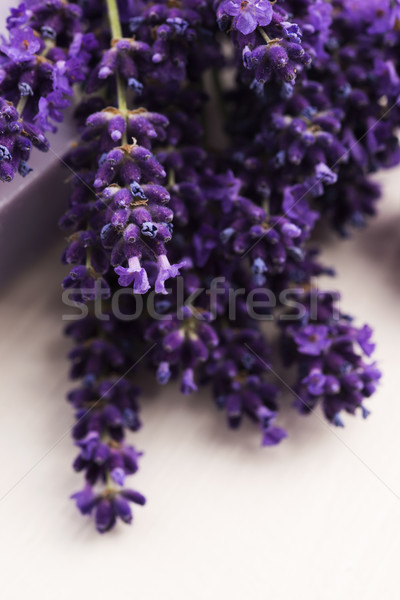 lavender bath Stock photo © joannawnuk