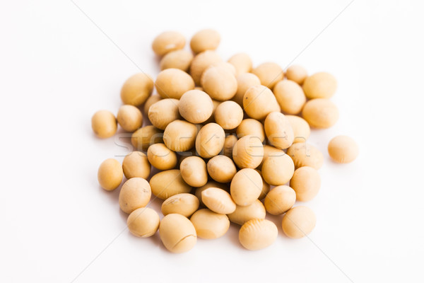 soya beans Stock photo © joannawnuk