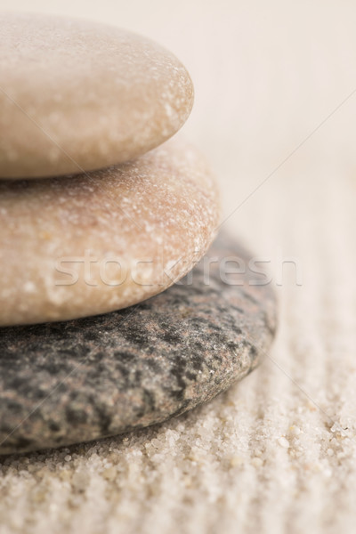 Mini zen ogród streszczenie piasku rock Zdjęcia stock © joannawnuk