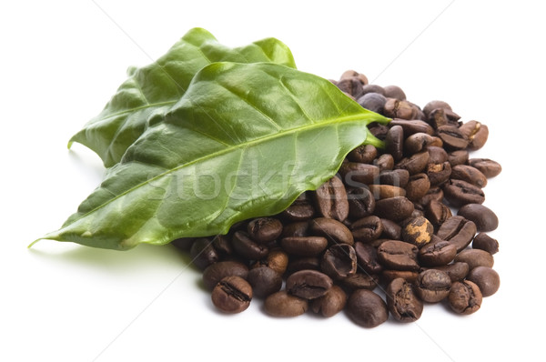 coffee grains and leaves Stock photo © joannawnuk