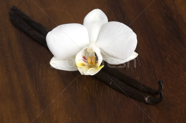Vanilla pods and flower Stock photo © joannawnuk