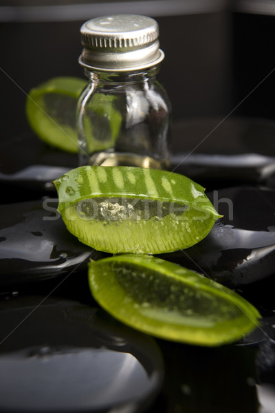 Aloe yaprakları yağ taş su Stok fotoğraf © joannawnuk