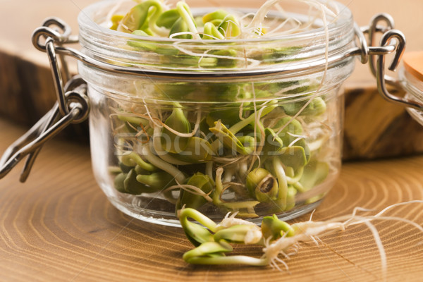 Stock photo: green young sunflower sprouts in the jar