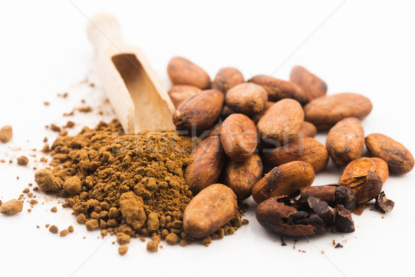 cacao beans and cacao powder in spoon Stock photo © joannawnuk