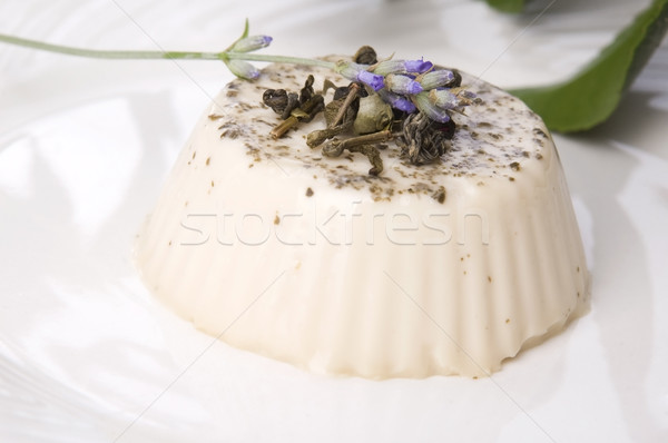 sencha panna cotta Stock photo © joannawnuk