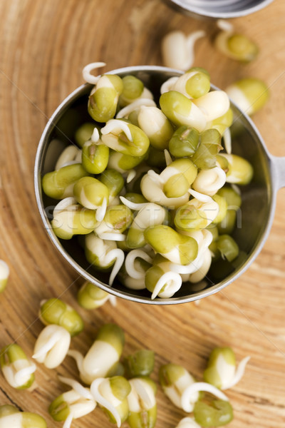 Sprouted mung beans Stock photo © joannawnuk