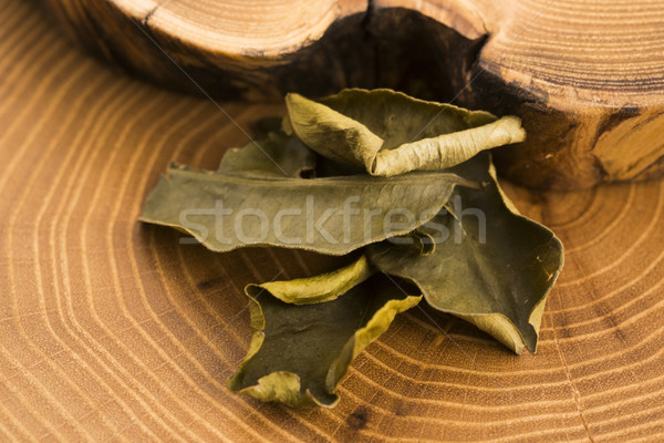 Cassia leaves Stock photo © joannawnuk