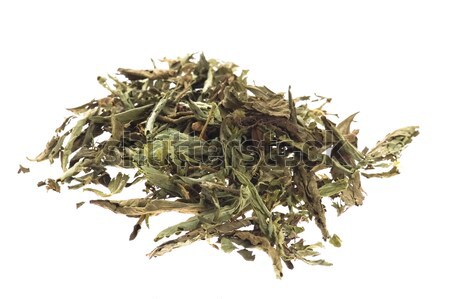 Dried Stevia Rebaudiana - natural sweetener isolated on white Stock photo © joannawnuk