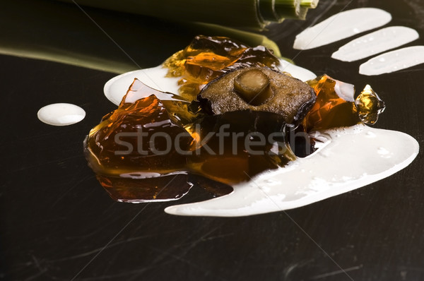 Molecular gastronomía setas sopa textura otono Foto stock © joannawnuk