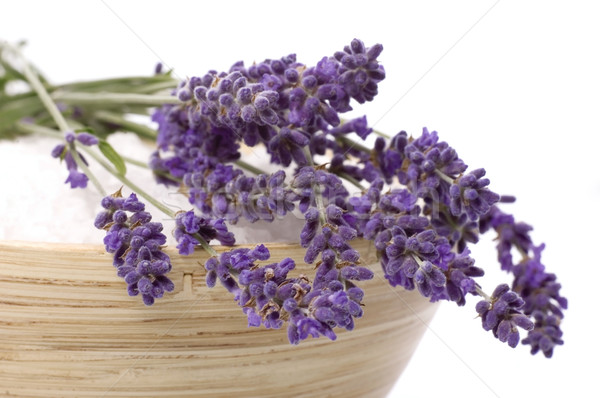 lavender bath Stock photo © joannawnuk