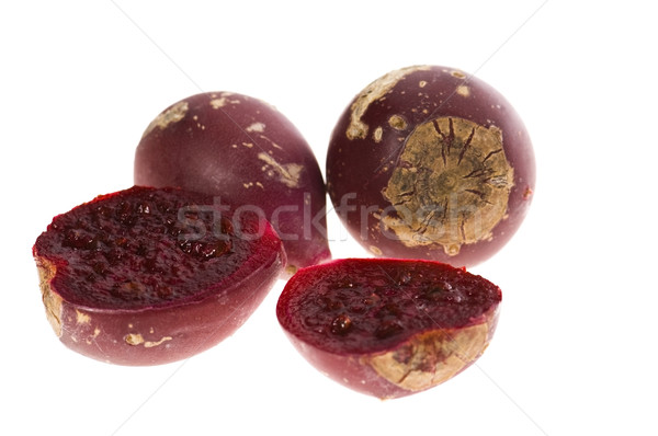 Prickly pear cactus ( Opuntia ficus-indica ) with red fruits Stock photo © joannawnuk
