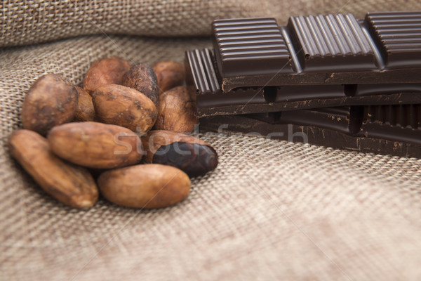 Foto stock: Cacau · feijões · chocolate · planta · comer · grão