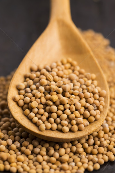 Spicy mustard seeds in a wooden background Stock photo © joannawnuk