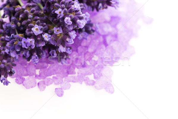 Stock fotó: Levendula · virágok · fürdősó · szépségápolás · virág · test