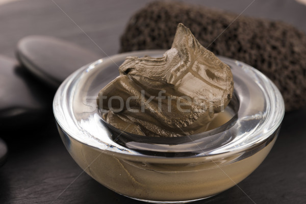 Dead Sea mud in a bowl Stock photo © joannawnuk