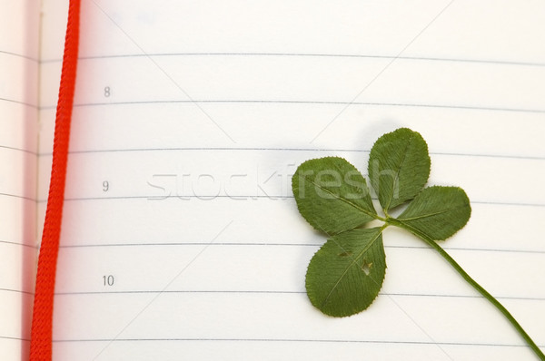 Four Leaf Clover and New Day Stock photo © joannawnuk