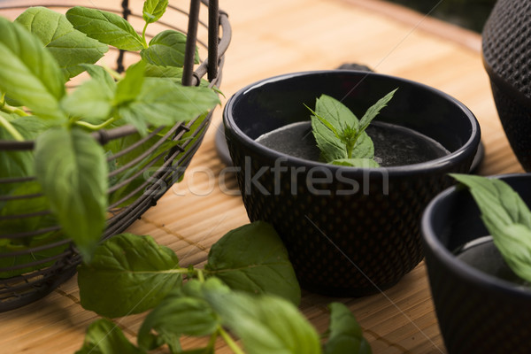 Mint tea Stock photo © joannawnuk