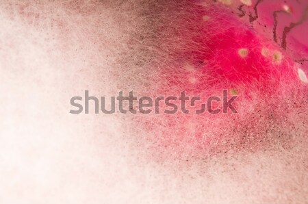 Leves sérült penész extrém közelkép textúra Stock fotó © joannawnuk
