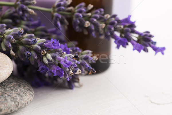 Lavande fleurs santé pétrolières salle de bain [[stock_photo]] © joannawnuk