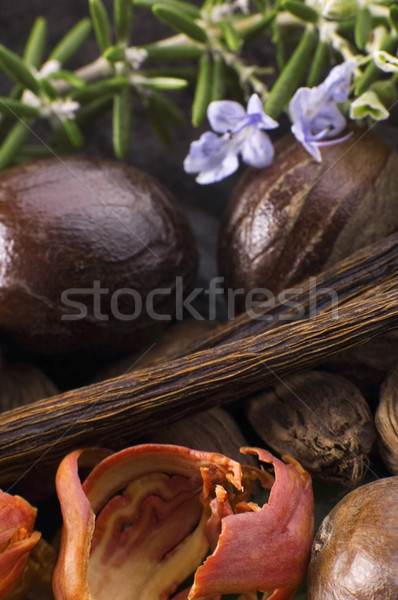 Foto stock: Aromático · ervas · temperos · alho · alecrim · baunilha