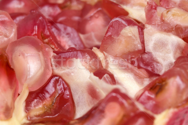 Ziarna żywności charakter owoców skóry różowy Zdjęcia stock © joannawnuk