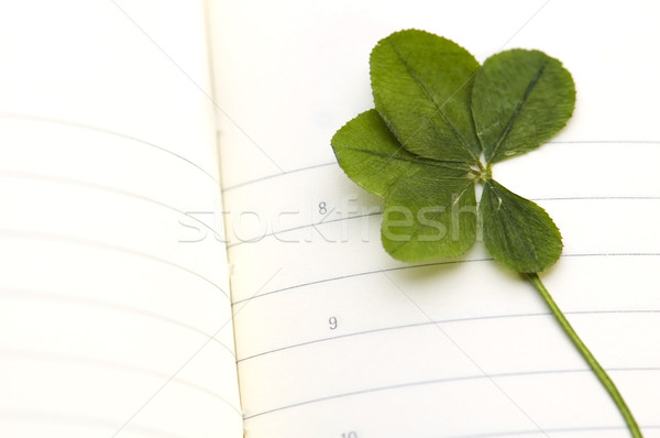 Five Leaf Clover and New Day. Stock photo © joannawnuk