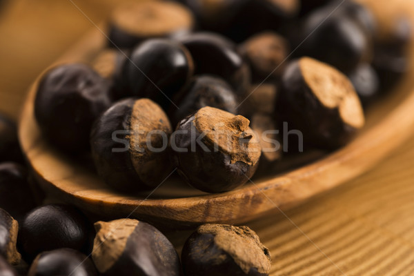 Magok fa kávé növény diók fűszer Stock fotó © joannawnuk