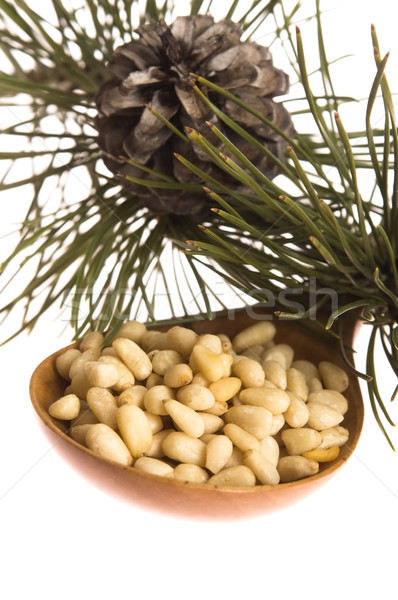 Pine nuts Stock photo © joannawnuk