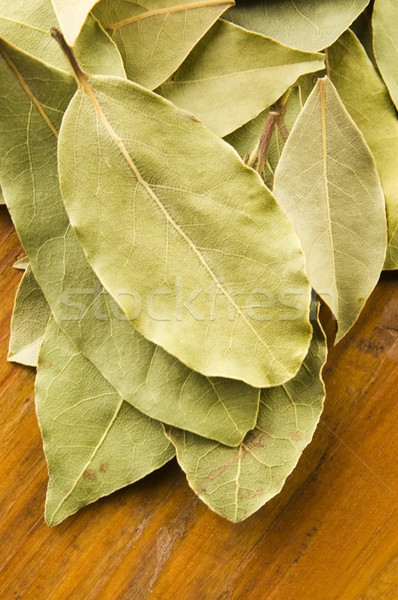 bay leafs Stock photo © joannawnuk