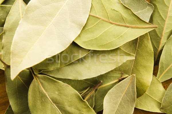 bay leafs Stock photo © joannawnuk