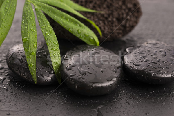 Green leaf on spa stone on wet black surface Stock photo © joannawnuk